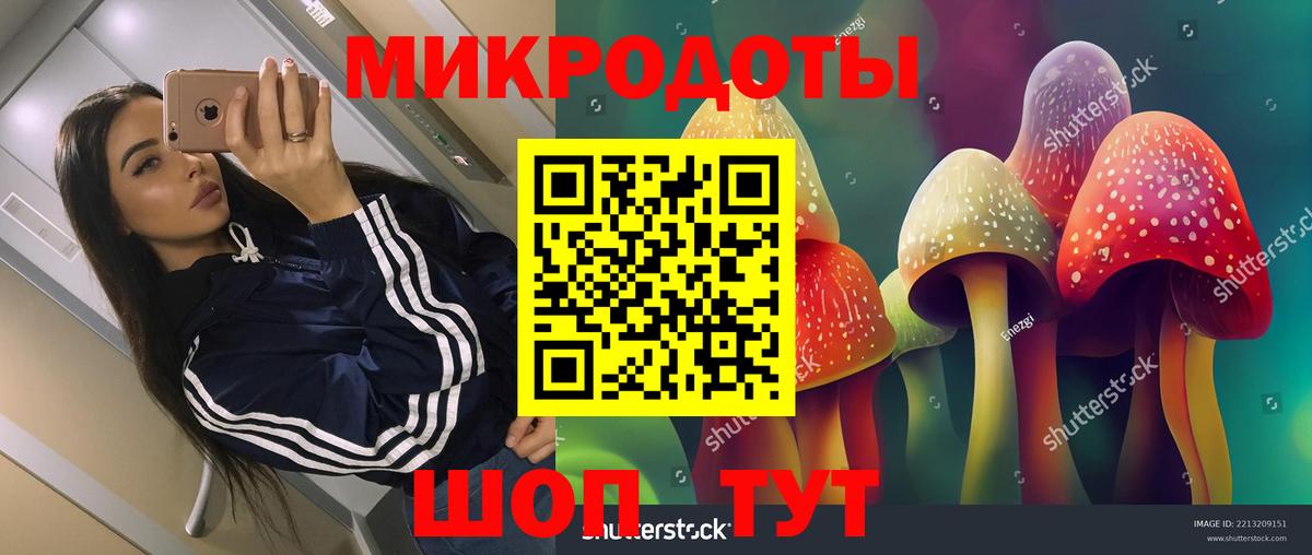 Псилоцибиновые грибы GOLDEN TEACHER  Галлюциногенные грибы MAGIC MUSHROOMS  Екатеринбург  Вход с VPN 